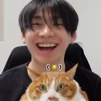 ⊹ ࣪ ˖𝓷𝔂𝔁𝔁🐸🔎 | 🧀࿔*❆ ₊⋆