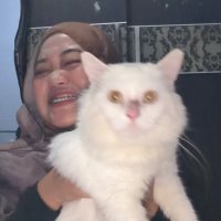 ⋆𐙚 tsy ₊˚⊹🦋