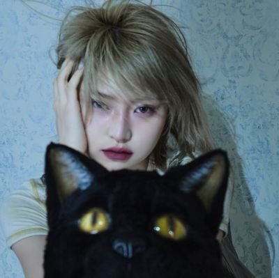 emy ʕ˵•Ⱉ•˵ʔ