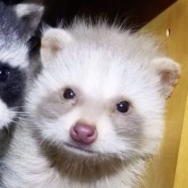 ⋆˚࿔ 𝐅!𝐕ictor .ᐟ | M∀YHEM & PSIKOLERA 🪩💋