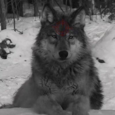 biting the hand that feeds you