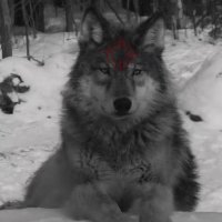 biting the hand that feeds you