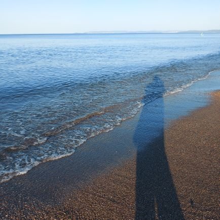 P A MU K İ P L İ Ğ İ