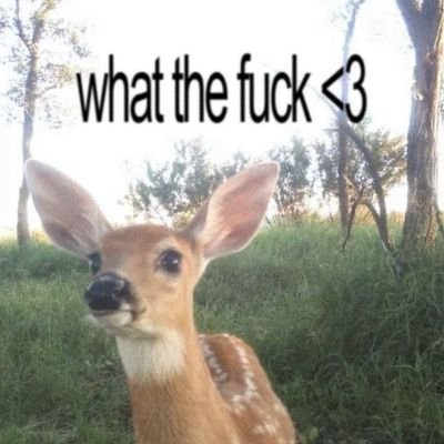 𝐘𝐀𝐇𝐑𝐃 ୨ৎ