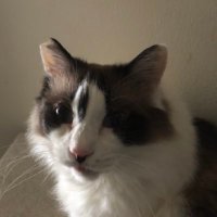 E.OhGI@O.G.I.planning🍉