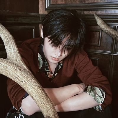 Marcelly! ENHYPEN IS 7