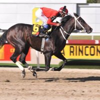 ⚾Verdugoendeportes⚾🏇🐎🏇🏇