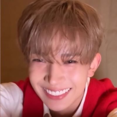 Bibibidididihee|ENHYPEN is 7 ✿•‿•✿