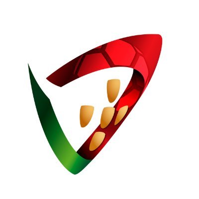 Federação de Andebol de Portugal