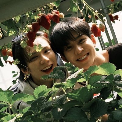 𝓢𝓸𝓯𝓯 ᥫ᭡ | 𝑴𝒓. 𝑭𝒂𝒏𝒃𝒐𝒚 ✨📸