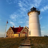 Cape Cod Rapist Association