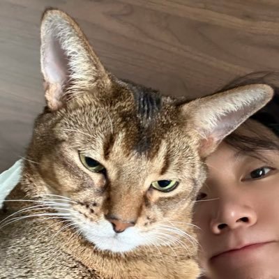 ᴛᴇɴɴɪᴇ’ꜱ ᴍᴏᴍᴍʏ 🐈‍⬛