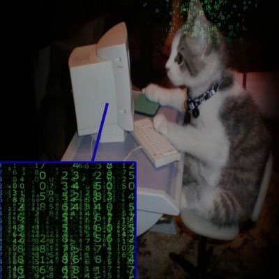 gato fantastico 💻