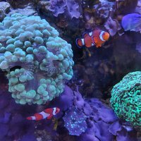 Julia~🙏🇺🇲☦️☕Donald J. Trump is our President 🥳