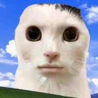 🍙 AlvinTheCatBoyVT🍙26% Switch2 & 0% Pokopia :0