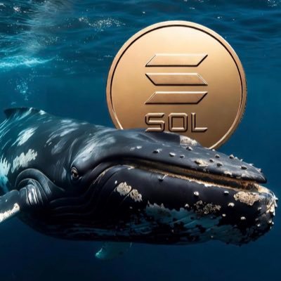 WhaleOnSol™