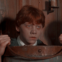 𝗧𝗛𝗘 𝗙𝗔𝗧𝗘 𝗢𝗙 𝗚𝗘𝗘𝗛⸆⸉ 🧙‍♀️🌵