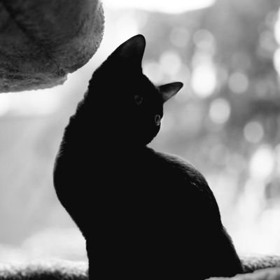 Tikkun Olam 🕊✌🏾