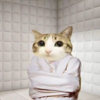 jeeks public defender