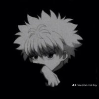 Codex👑🙂‍↔️