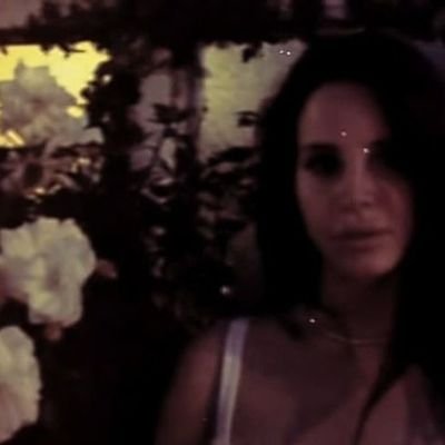 minerva - green butterfly