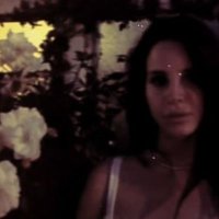 minerva - green butterfly