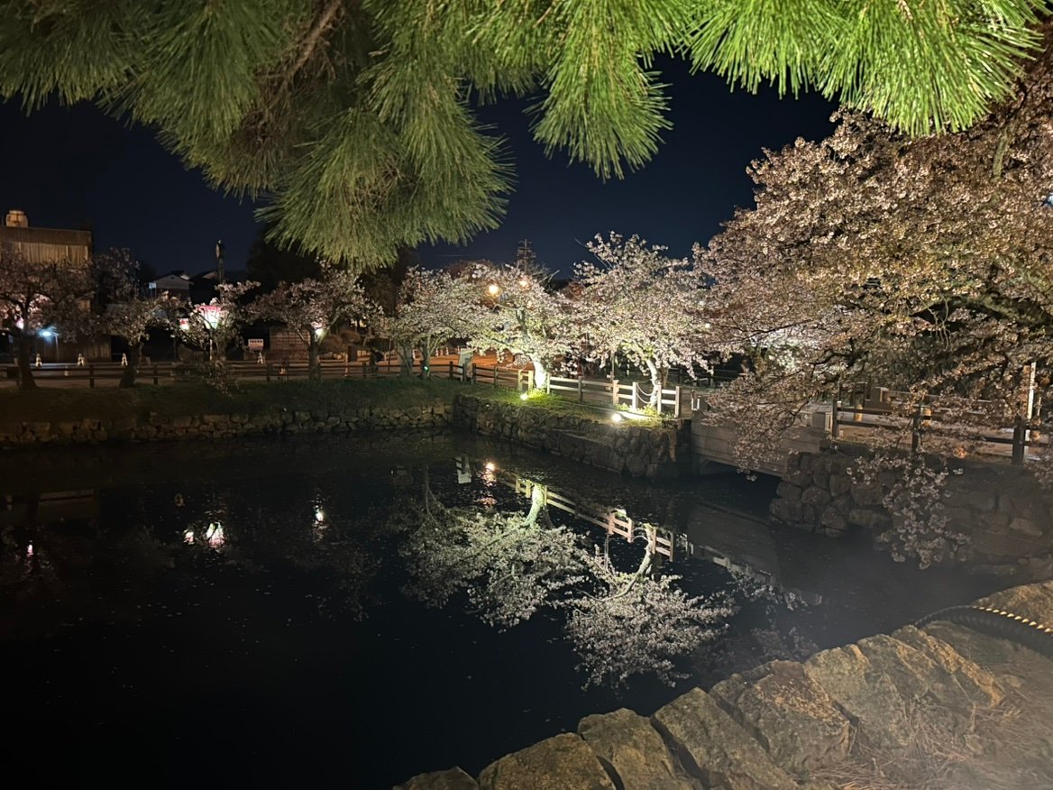 鳥取で暮らしながら考える