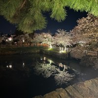 鳥取で暮らしながら考える