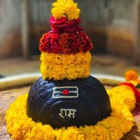 सुचित तिवारी (सनातनी+ब्राह्मण)