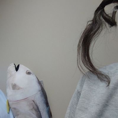 みなみことり🐦️