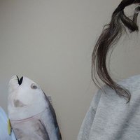 みなみことり🐦️