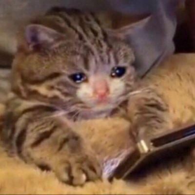 โอเด้ง เด้ง เด้ง เด้ง 🌦️