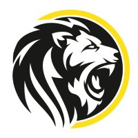 Digitalroar Softlabs