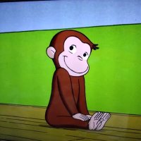 高槻市在住@2026逆襲の猛牛🐴