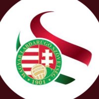 Hungarian Football 🇭🇺