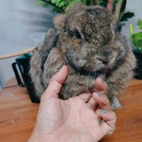 Mommy's Tรัญชน์🌵🌵