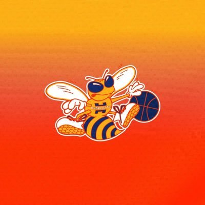 Charlotte Hornets