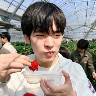 한나비⋆˚꩜｡