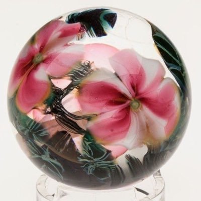 professional court jester