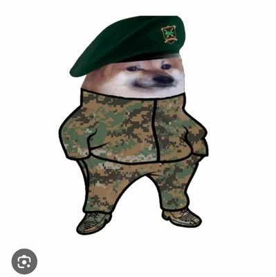 Croatian_fella🇭🇷