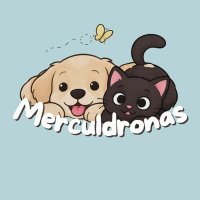 Team Merculdronas