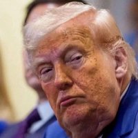 1KETZER - Pirat, maximal geimpft