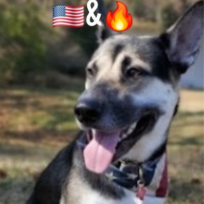 A Great American! 🇺🇸 & 🔥