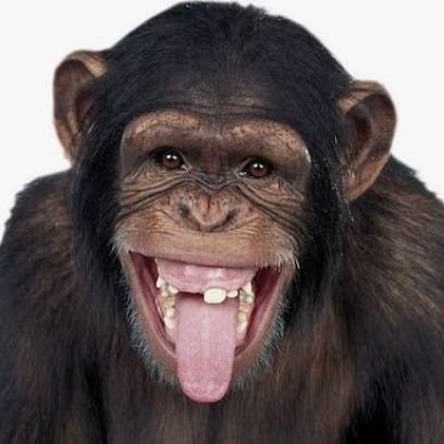 Sofia Benamou 🕊🌏🕊🌏🕊🌏🕊