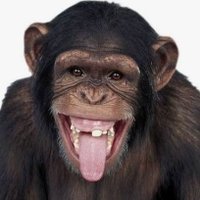 Sofia Benamou 🕊🌏🕊🌏🕊🌏🕊