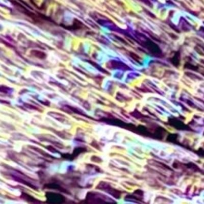 Eleanor Snowleopard ๐๐ค๐พ๐ณ๐๐๏ธโโ๏ธโณ๏ธ๐โ๏ธ