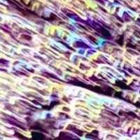 Eleanor Snowleopard 🐆🖤🐾🎳🏒🏌️‍♀️⛳️🐝♟️