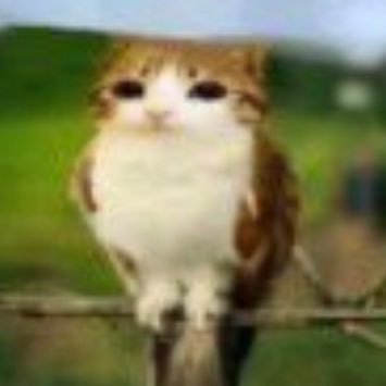 porrrrnesian parrapio