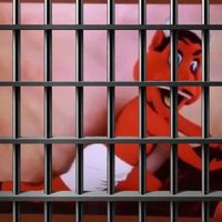 芳莉 lili 🏎🏒