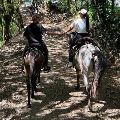 Yayo.R 🇨🇴🇺🇲🇮🇱